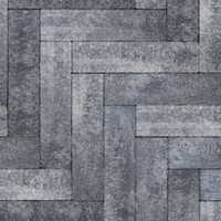 Тротуарная плитка Ригель 2,0 Color Mix Ночь верхний прокрас на белом / сером цементе основа - серый цемент 320*80*60мм BRAER